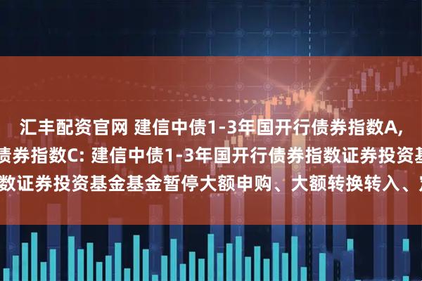 汇丰配资官网 建信中债1-3年国开行债券指数A,建信中债1-3年国开行债券指数C: 建信中债1-3年国开行债券指数证券投资基金基金暂停大额申购、大额转换转入、定期定额投资公告