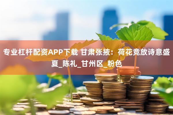 专业杠杆配资APP下载 甘肃张掖：荷花竞放诗意盛夏_陈礼_甘州区_粉色