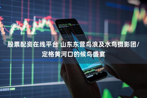 股票配资在线平台 山东东营鸟浪及水鸟摄影团/定格黄河口的候鸟盛宴