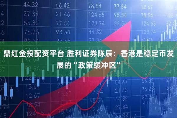鼎红金投配资平台 胜利证券陈辰：香港是稳定币发展的“政策缓冲区”