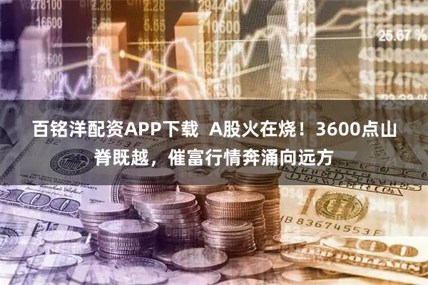 百铭洋配资APP下载  A股火在烧！3600点山脊既越，催富行情奔涌向远方